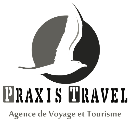 logo praxis travel